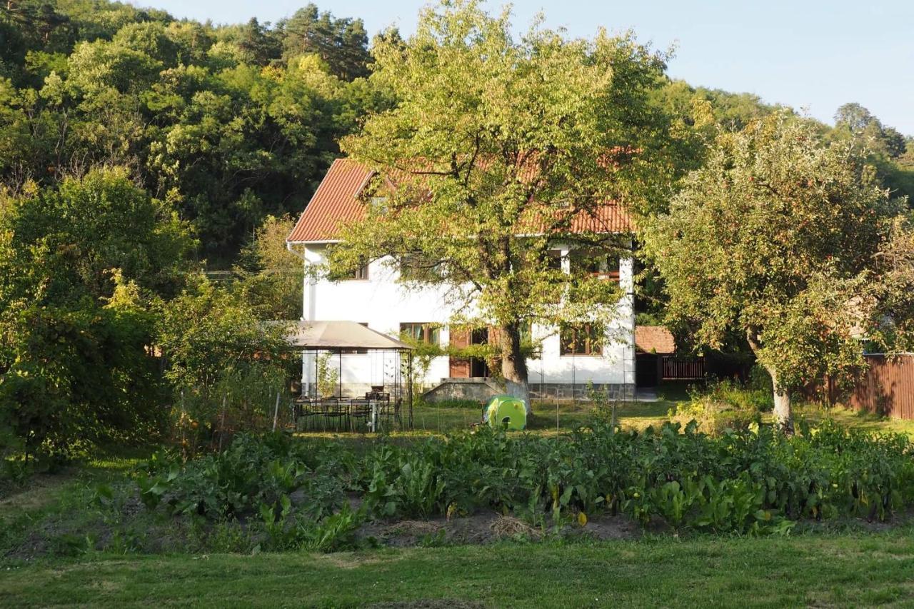 Casa Bucataria Fonix Hotel Praid Bagian luar foto