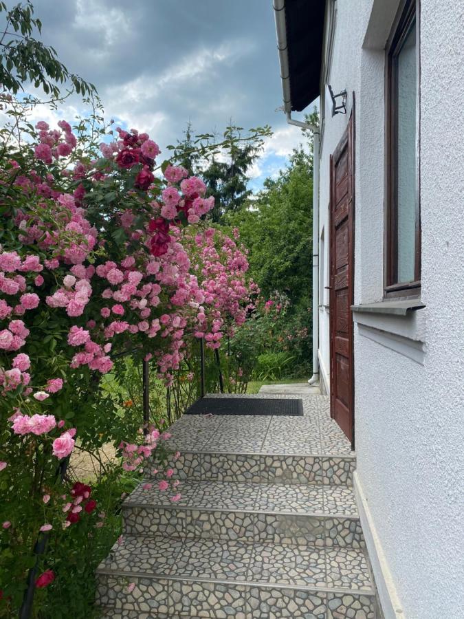 Casa Bucataria Fonix Hotel Praid Bagian luar foto
