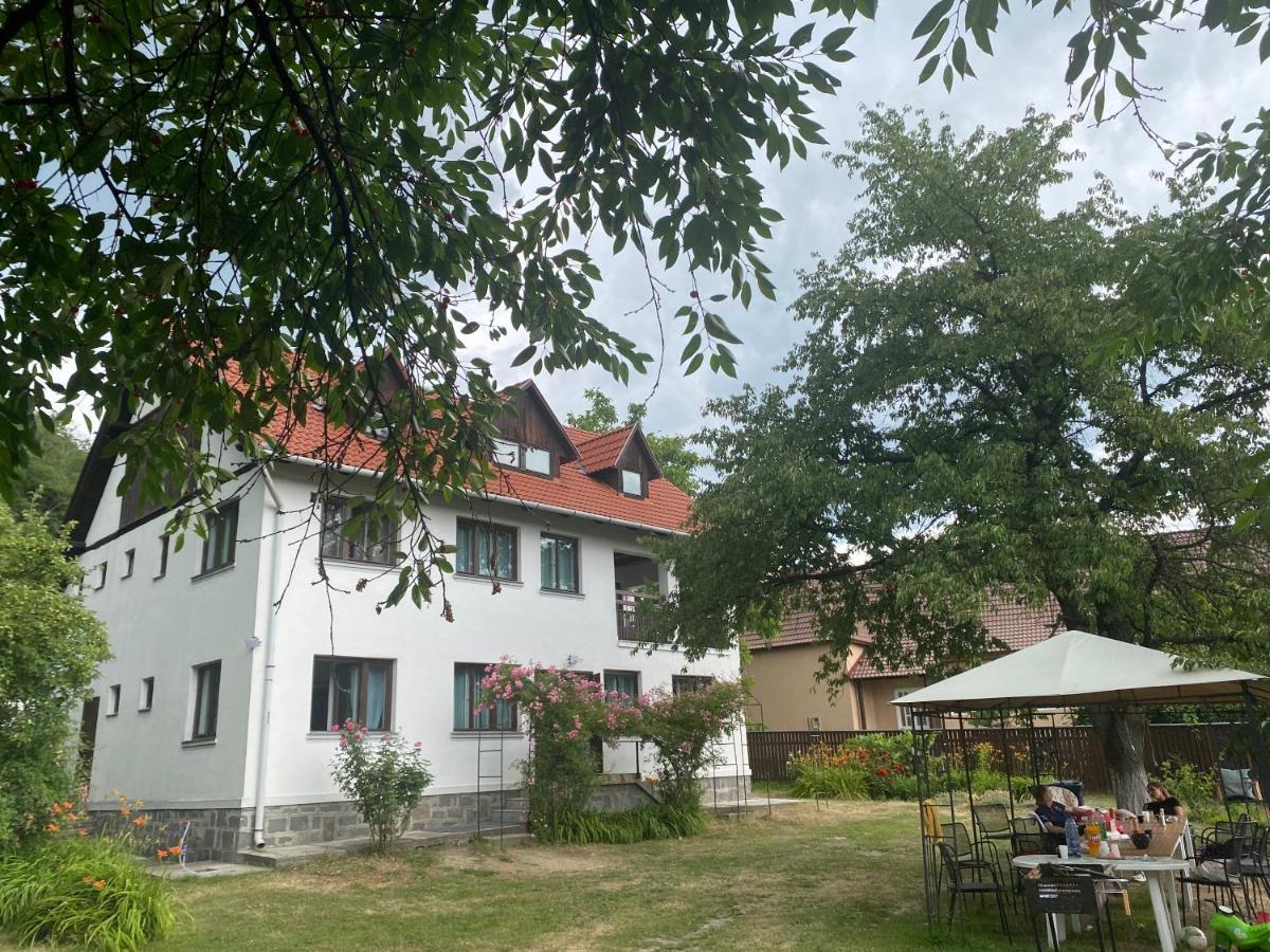 Casa Bucataria Fonix Hotel Praid Bagian luar foto